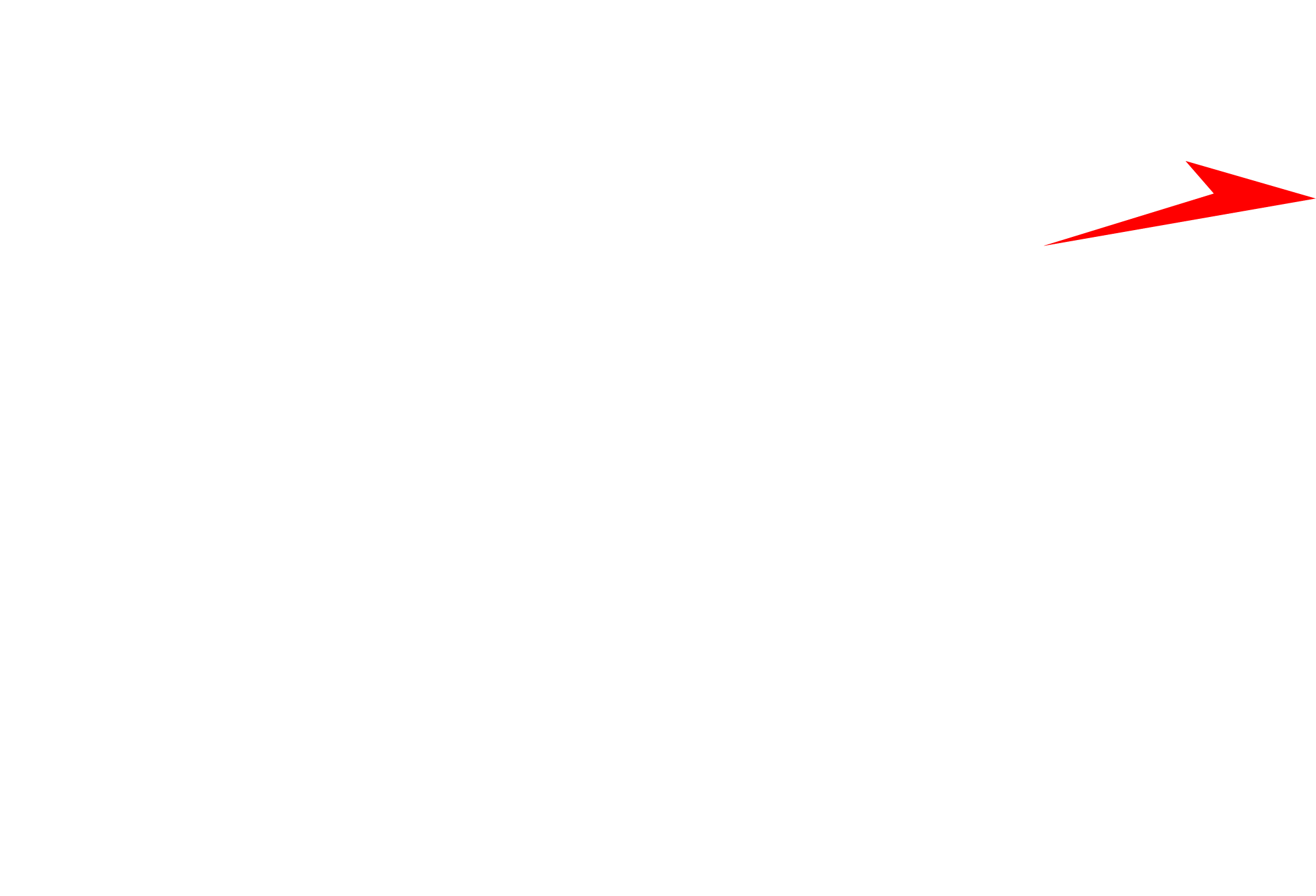 Raider Aviation Logo